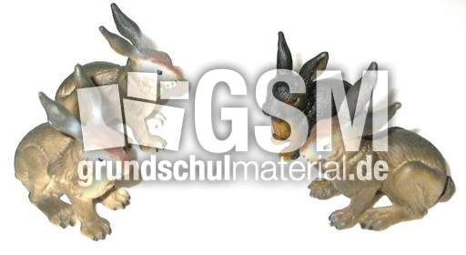 Hasen2+2.jpg